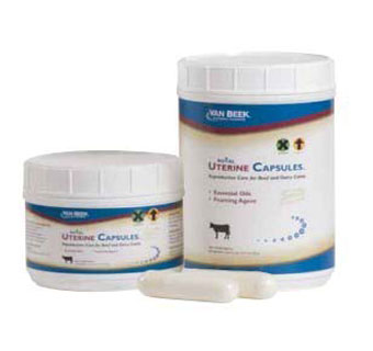 ROYAL UTERINE CAPSULE 20 G 20/JAR
