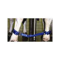 HEAVY-DUTY FULLY ADJUSTABLE COW CUFFLINK II RED