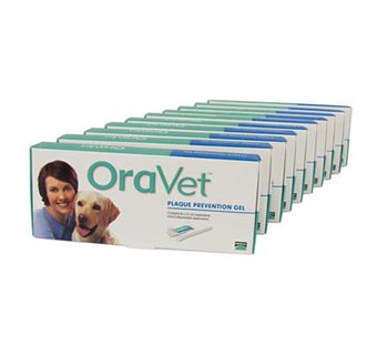 ORAVET PLAQUE PREVENTION GEL HOME CARE KITS 10 KITS