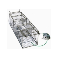 Animal Repellent & Traps