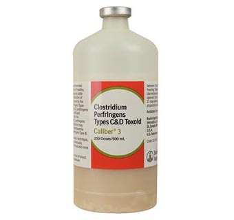CALIBER® 3 500 ML (250 DOSES)