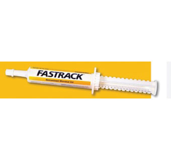 FASTRACK® NON-RUMINANT GEL 30 ML 1/PKG