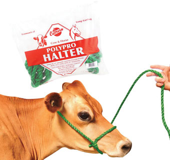 POLY PRO COW HALTER WITH NOSE BAND 1/2 IN X 13 FT GREEN