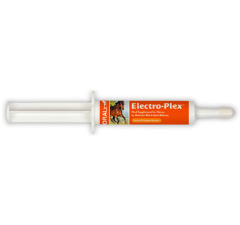 ELECTRO-PLEX  PASTE - 34GM SYRINGE - EACH