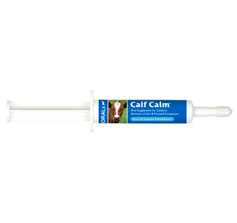 CALM CALF PASTE - 34GM SYRINGE - EACH