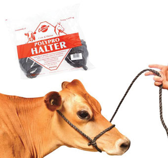 POLY PRO COW HALTER WITH NOSE BAND 1/2 IN X 13 FT BLACK