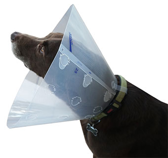 CASEY® CLIC COLLARS 30 CM CLEAR 1/PKG