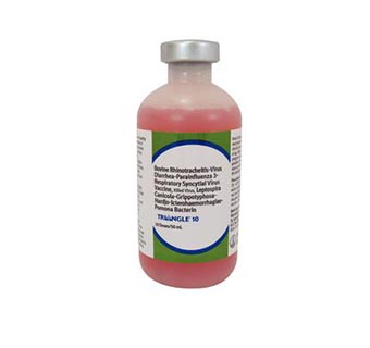 TRIANGLE® 10 HB 50 ML (10 DOSES)