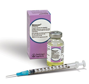 METACAM INJECTION SOLUTION 5MG/ML 10ML (RX) (SOLD IN HAWAII ONLY)