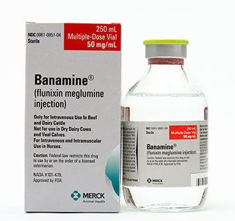 BANAMINE® SOLUTION 250 ML (RX)