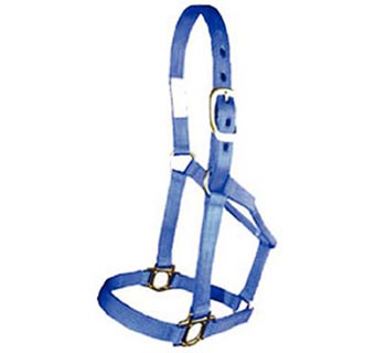 STYLE T HORSE HALTER (BRASS) W/BURNED HOLE MEDIUM BLUE