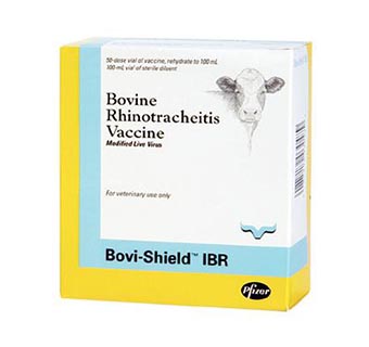 BOVI-SHIELD® IBR 50 DOSES