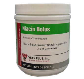 NIACIN BOLUS 20 COUNT