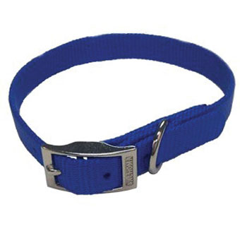 380 SINGLE LAYER PUPPY COLLAR NYLON 10 IN X 3/8 IN BLUE