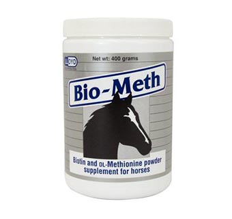 BIO-METH 400 G