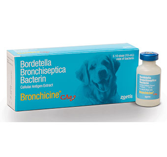 VANGUARD® B INJECTABLE 10 DOSE
