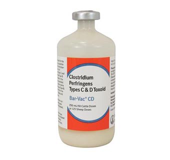 BAR-VAC® CD 250 ML (50 DOSES)