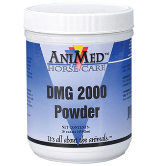 DMG 2000 SWEET PALATABLE POWDER 16 OZ