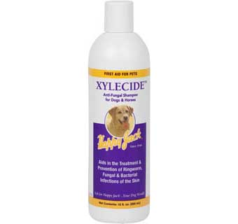 HAPPY JACK XYLECIDE ANTI-FUNGAL SHAMPOO 12 OZ