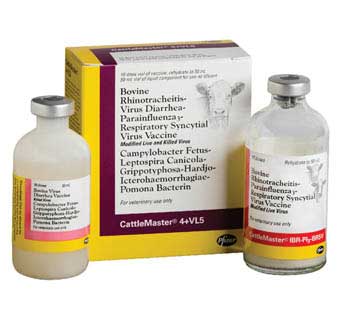CATTLEMASTER® 4+VL5 10 DOSES