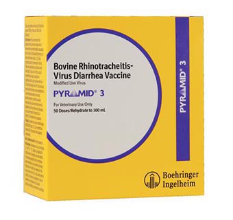 PYRAMID® 3 100 ML (50 DOSES)