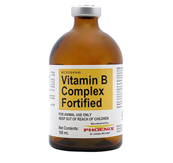 VITAMIN B COMPLEX FORTIFIED 100 ML 1/PKG