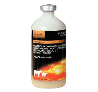BOVILIS® VISION® 8 WITH SPUR 100 ML (50 DOSES)