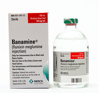 BANAMINE® SOLUTION 100 ML (RX)