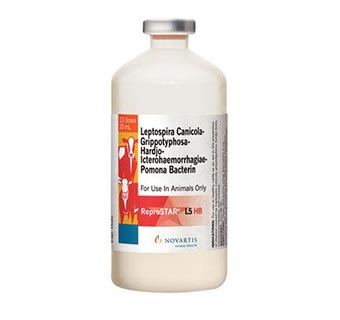 REPROSTAR® L5 HB 20 ML (10 DOSES)