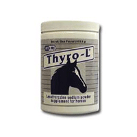 THYRO L POWDER 10 LB RX