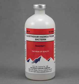ESSENTIAL 1 HAEMOLYTICUM BACTERIN VACCINE 100 ML 50 DS