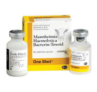 ONE SHOT® 5 DOSES