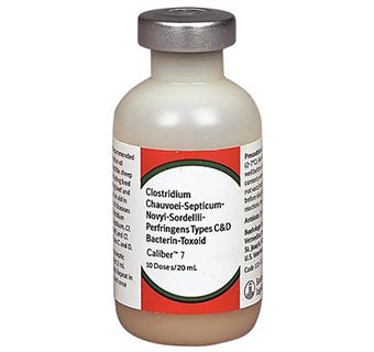 CALIBER® 7 20 ML (10 DOSES)