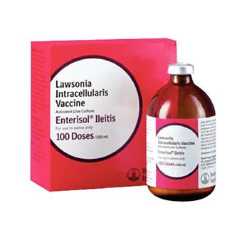 ENTERISOL® ILEITIS (NONFROZEN) 100 DOSES