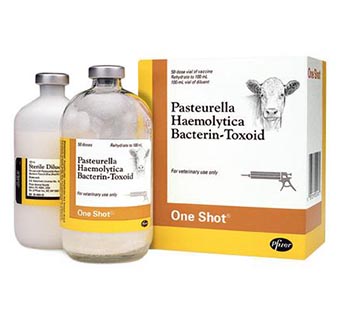 ONE SHOT® 50 DOSES