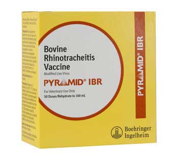 PYRAMID® IBR 100 ML (50 DOSES)
