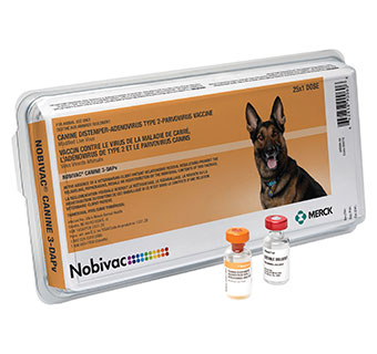 NOBIVAC® CANINE 3-DAPV 25 X 1 ML DOSE