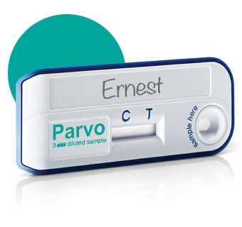 VETSCAN CANINE PARVOVIRUS RAPID TEST KIT 20/PKG