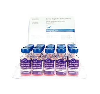 RECOMBITEK® LYME 20 X 1 ML DOSE (AGENCY)