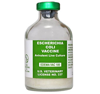 EDEMA VAC® 100 DOSE 1/PKG