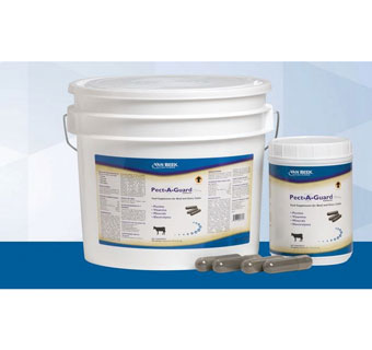 PECT-A-GUARD PLUS® NUTRITIONAL SUPPLEMENT CAPSULES 300/PL