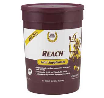 REACH JOINT SUPPLEMENT 2.8 LB PAIL