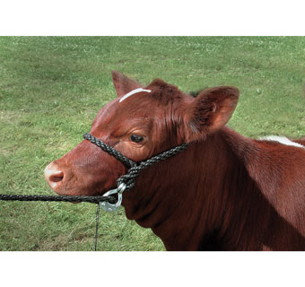 POLY QUICK-RELEASE COW HALTER 10 FT