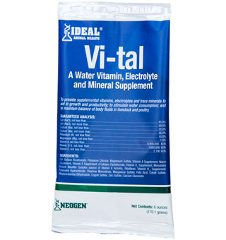 VI-TAL VITAMIN ELECTROLYTE SUPPLEMENT 6 OZ DISPLAY