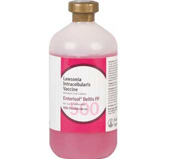 ENTERISOL® ILEITIS FF (FROZEN) 250 DOSE