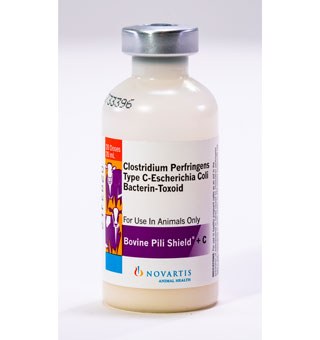 BOVINE PILI SHIELD™ + C 20 ML (20 DOSES)