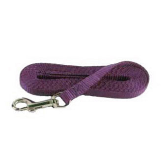 381 SINGLE LAYER PUPPY LEASH NYLON 3/8 IN X 6 FT LIME GREEN