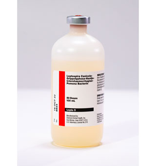 LEPTO SHIELD™ 5 100 ML (50 DOSES)