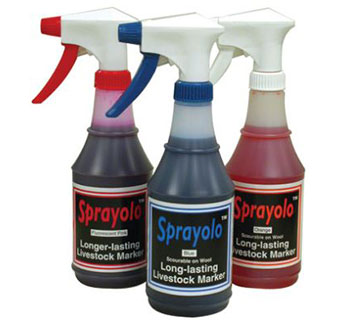 SPRAYOLO™ LIVESTOCK MARKER PAINT - BLUE - PINT - EACH