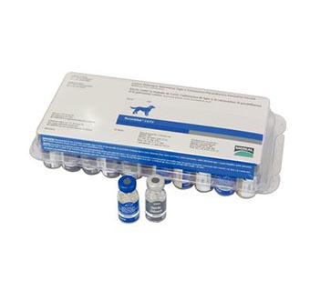 RECOMBITEK® C4/CV (DA2PPC) 25 X 1 DOSE (AGENCY)